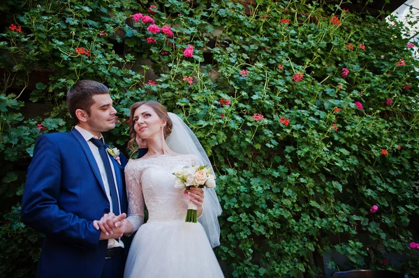 Casamento casal fundo verde escova com rosas vermelhas — Fotografia de Stock