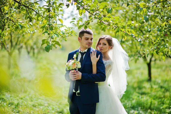 Liebendes Hochzeitspaar im Garten — Stockfoto