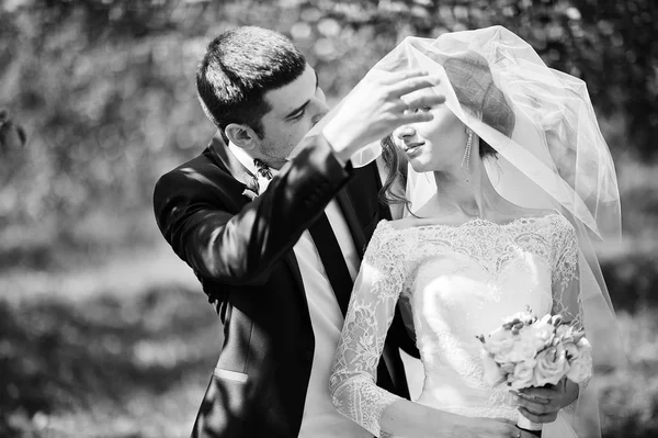 Groom looking at bride from veil — Stock Photo, Image