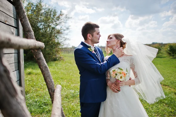 Čerstvě vdaná pozadí dřevěný žebřík — Stock fotografie