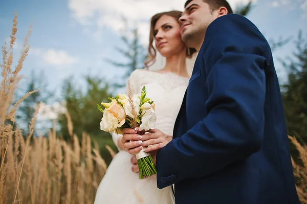 Manželský pár v uších suché trávy — Stock fotografie