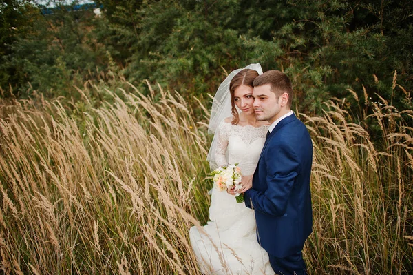 Married couple in the ears of dry grass — Stock Photo, Image