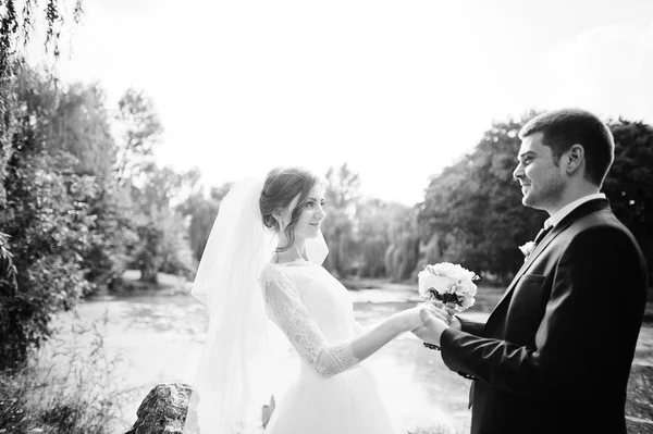 Casal de casamento no parque perto de duas pedras e lago — Fotografia de Stock