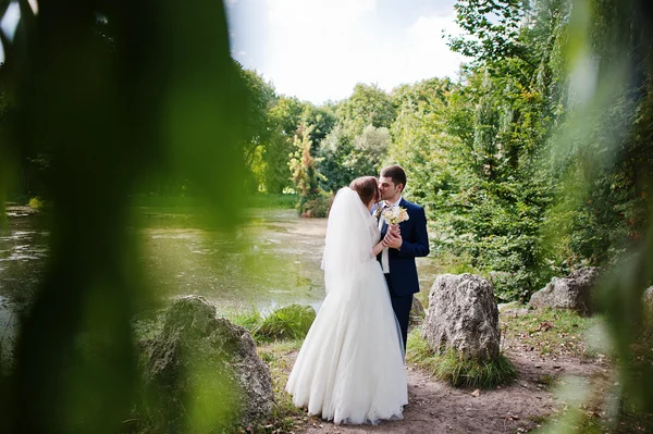 Casal de casamento no parque perto de duas pedras e lago — Fotografia de Stock