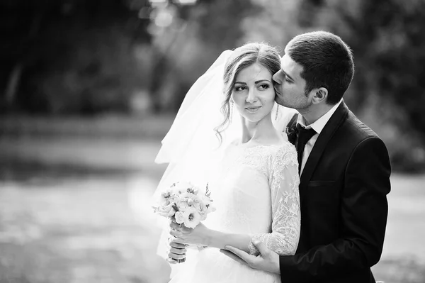 Esküvői pár a parkban, két kövek és a tó közelében — Stock Fotó