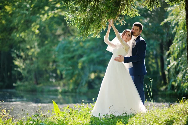 Net getrouwd in liefde op het park — Stockfoto