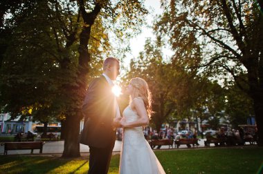 günbatımı üzerinde büyüleyici Düğün çifti