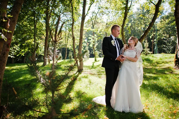 Matrimonio coppia al sole verde parco — Foto Stock