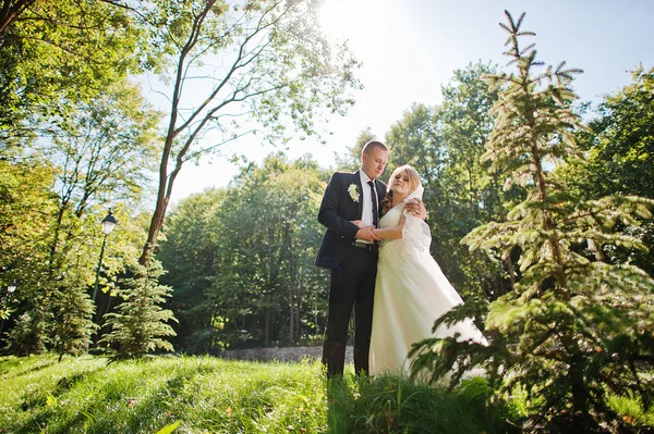 Casamento casal na luz do sol parque verde — Fotografia de Stock