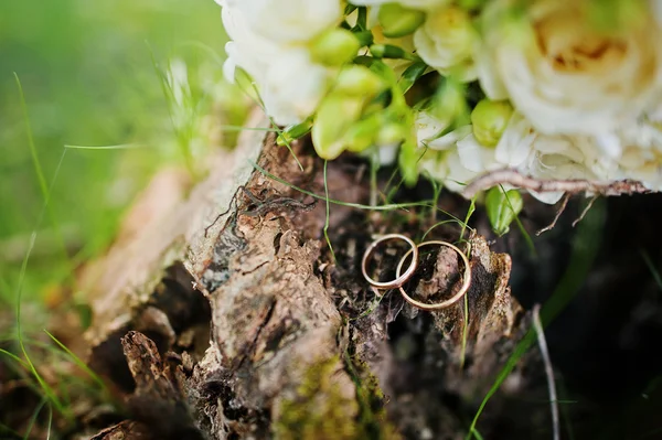 Wedding rings on the bark of hemp — Stock Photo, Image