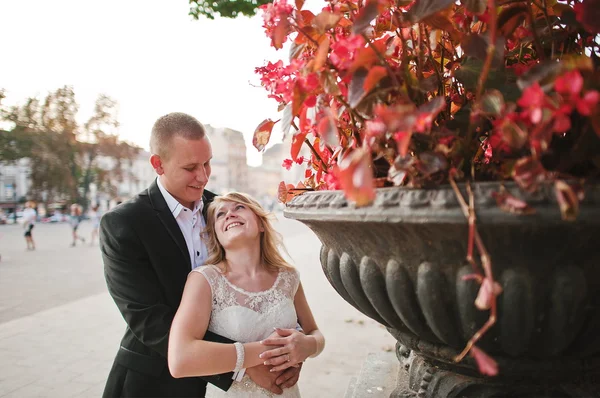 Hochzeitspaar Hintergrund großer Stein Topf mit roten Blumen — Stockfoto