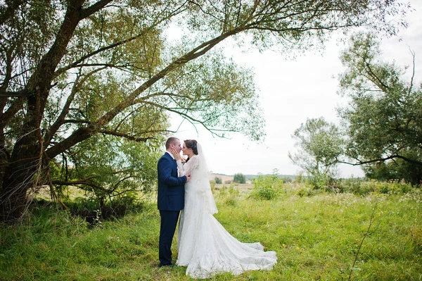 Pareja de boda en hierba alta y cerca del árbol —  Fotos de Stock