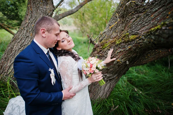 Pareja de boda en hierba alta y cerca del árbol — Foto de Stock