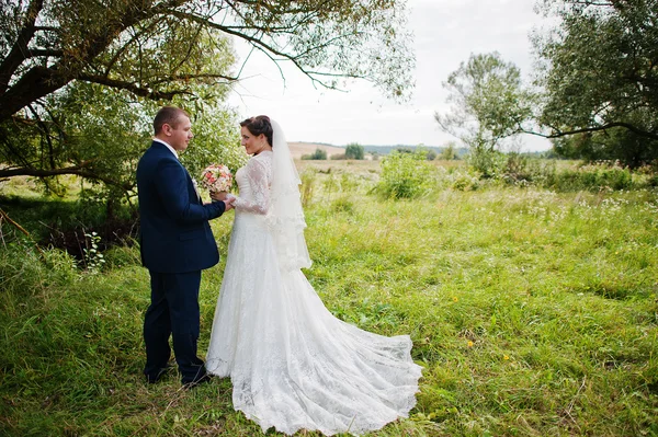 Pareja de boda en hierba alta y cerca del árbol — Foto de Stock