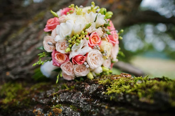 Ramo de bodas con anillos en el árbol — Foto de Stock