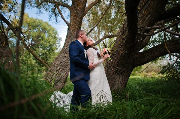 Pareja de boda en hierba alta y cerca del árbol — Foto de Stock