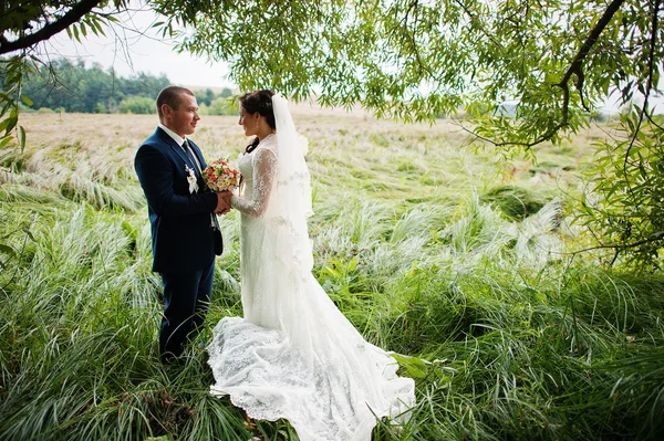 Wedding couple in high grass and near tree — Stock Photo, Image