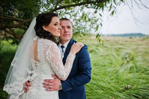 Svatební pár ve vysoké trávě a poblíž stromu — Stock fotografie