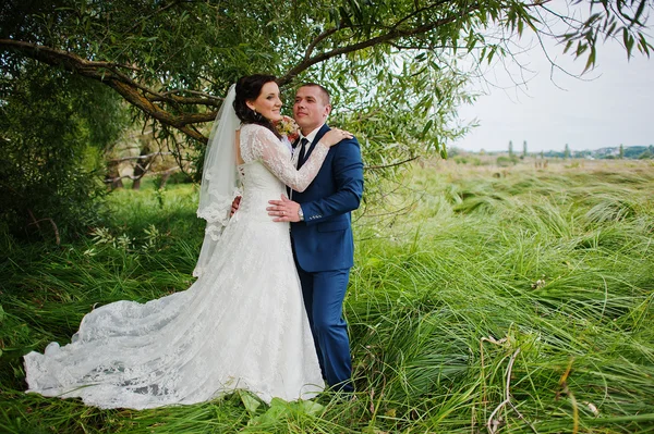 Pareja de boda en hierba alta y cerca del árbol — Foto de Stock