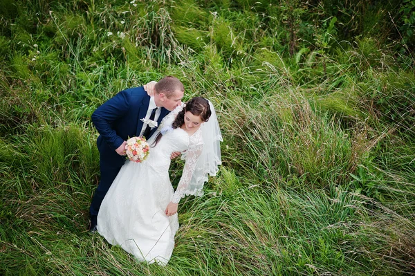 Recién casados en la hierba, vista desde lo alto — Foto de Stock