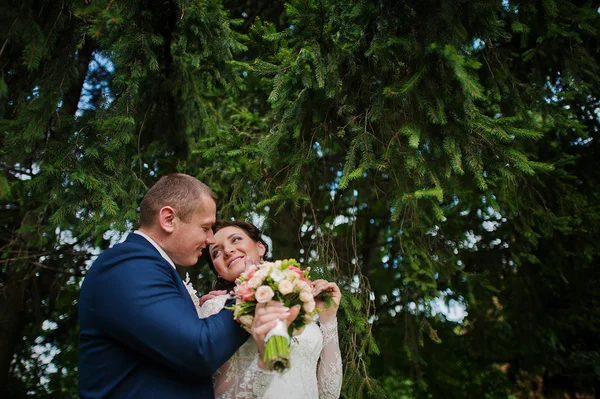 Precioso recién casados en la plaza del parque natural — Foto de Stock