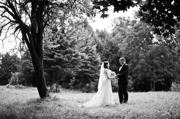 Lovely newlywed at nature park square — Stock Photo, Image