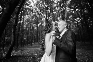 Yoğun orman, aşık Çift