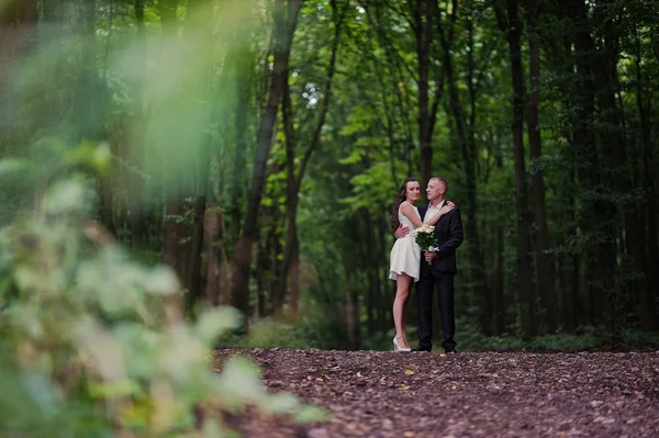 Couple in love at the dense forest — Stock Photo, Image