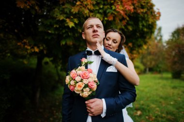 evlilik çift sarı ağaç sonbahar Park arka plan