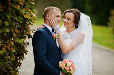 evlilik çift sarı ağaç sonbahar Park arka plan