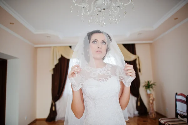 Jovem noiva morena sob véu — Fotografia de Stock