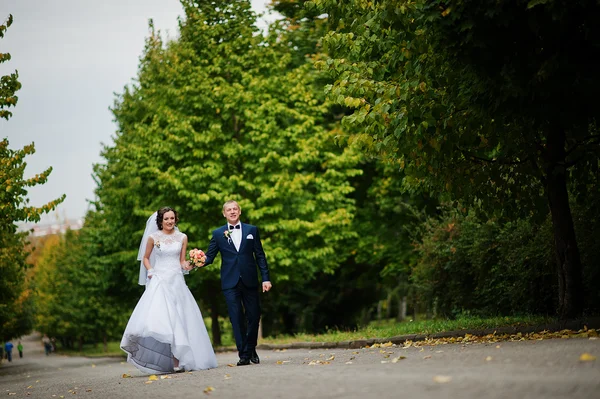 緑豊かな公園で歩いている結婚式のカップル — ストック写真