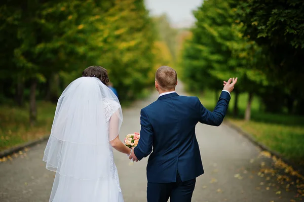 Casal de casamento andando no parque verde — Fotografia de Stock