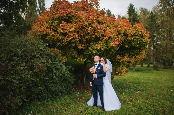 Boda pareja fondo amarillo árbol en otoño parque —  Fotos de Stock