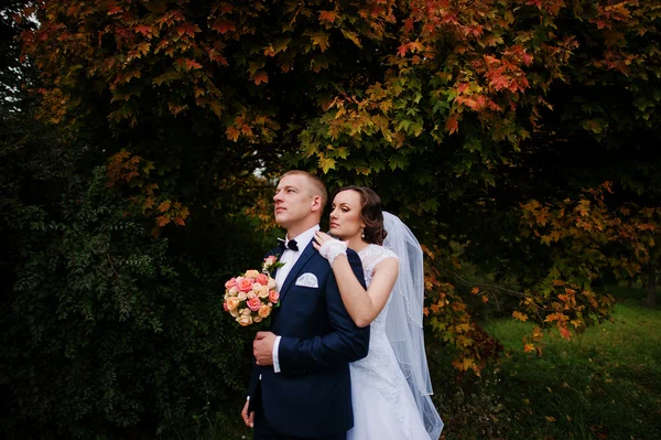 Mariage couple fond jaune arbre au parc d'automne — Photo