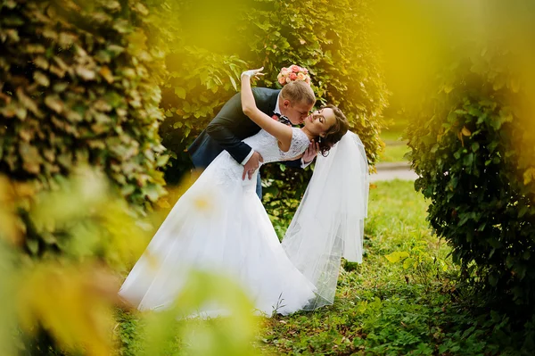 夫妇的婚礼背景刷在秋天的公园 — 图库照片