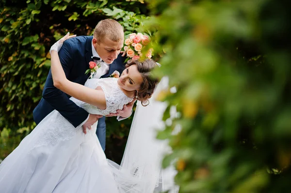 秋の公園での背景ブラシの結婚式のカップル — ストック写真