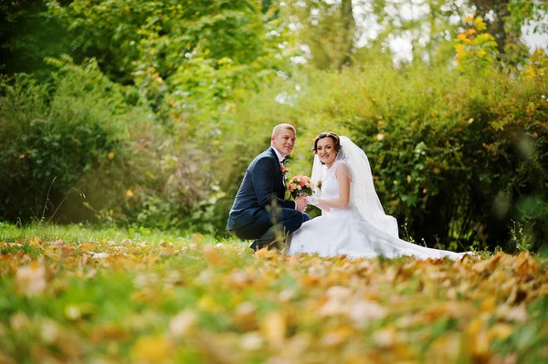 Boda pareja sentado en amarillo hojas fondo otoño parque —  Fotos de Stock