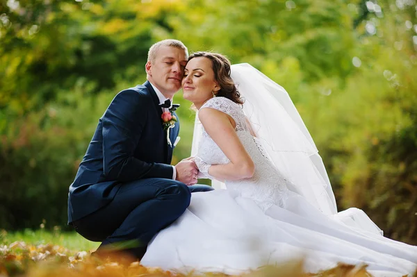 Svatební pár sedící u žluté listy podzimní park pozadí — Stock fotografie