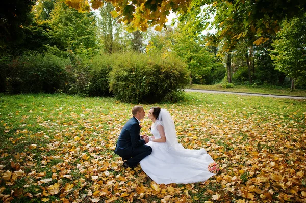 Casamento casal sentado em folhas amarelas fundo outono parque — Fotografia de Stock