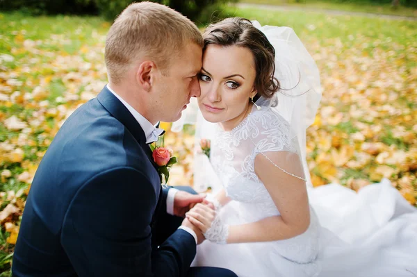 Casamento casal sentado em folhas amarelas fundo outono parque — Fotografia de Stock