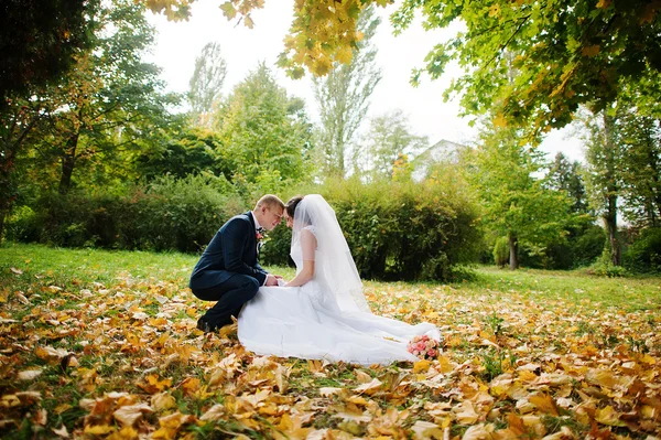 新婚夫妇坐在黄色树叶背景秋天公园 — 图库照片