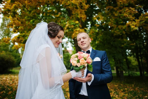 結婚式のカップルの背景黄色の木は秋の公園で — ストック写真