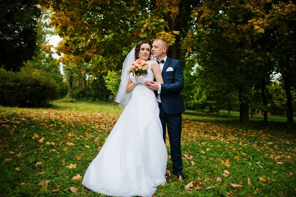 Matrimonio coppia sfondo giallo albero a autunno parco — Foto Stock