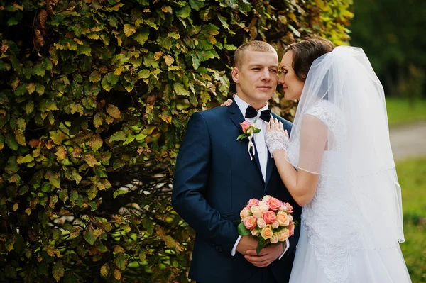 Boda pareja fondo amarillo árbol en otoño parque — Foto de Stock