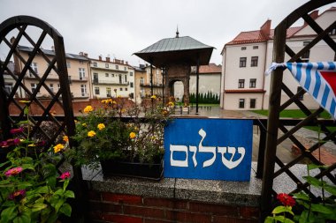 Tarnow, Polonya - 10 Ekim 2025: Tarnow, Polonya 'da bir çiçek tarhının ve tarihi binaların yakınında mavi tabela.