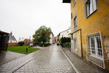 Tarnow, Polonya - 10 Ekim 2025: Sarı bir binası, kaldırımı ve küçük bir parkı olan huzurlu bir Tarnow caddesi..