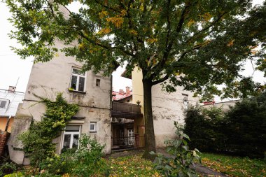 Tarnow, Polonya - 10 Ekim 2025: Tarnow, Polonya 'da ağaçlar ve yeşillikler tarafından çerçevelenmiş eski bir binanın yanındaki sakin kent avlusu.