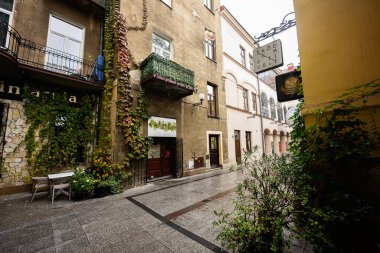 Tarnow, Polonya - 10 Ekim 2025: Tarnow, Polonya 'da dar yaya sokağı, sarmaşık kaplı duvarlar ve antika mağazalar.