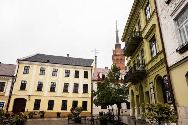 Tarnow, Polonya - 10 Ekim 2025: Tarnow 'da büyüleyici binalar, merkezi bir ağaç ve uzak saat kulesinin yer aldığı renkli Avrupa caddesi.